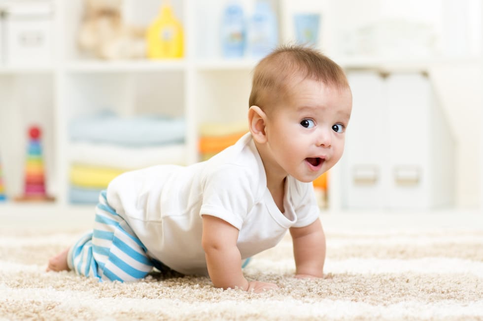 Baby walking by the bush 1